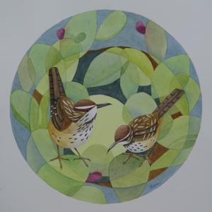Two Cactus Wrens