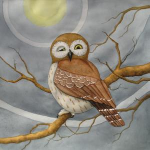Olli Owl