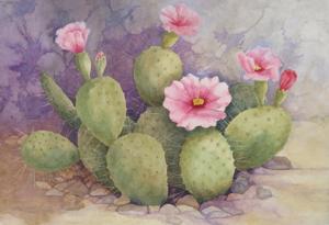 Pink Prickly Pear